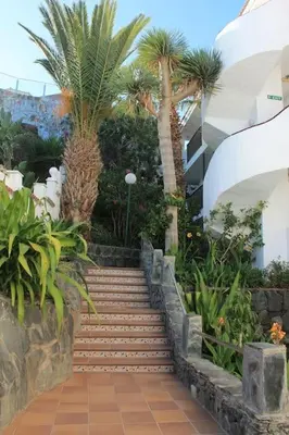 Jardín al aire libre en Galea 301 San Agustín