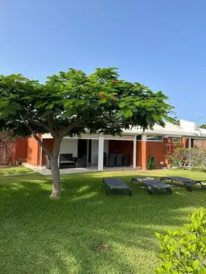 Jardín al aire libre en Bungalow Los Melocotones in Maspalomas - Playa del Ingles