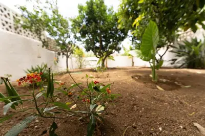 Jardín al aire libre en Finca Artiles