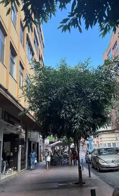 El barrio de los alrededores o un barrio cerca de este apartamento