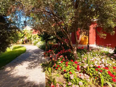 Jardín al aire libre en Belvilla by OYO Villa Arucas 10
