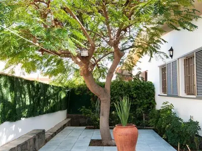 Jardín al aire libre en Beach house 50 meters from the beach for a complete holiday