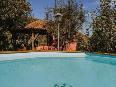 Piscina en o cerca de Country House in Gran Canaria with Private Pool