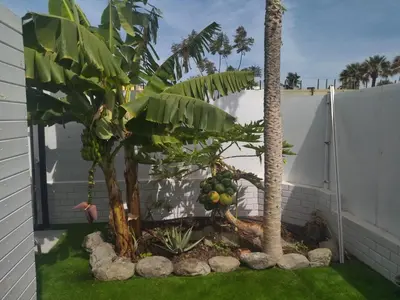 Jardín al aire libre en Las Tartanas 110-1-2