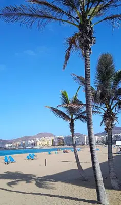 Paisaje cerca de este apartamento