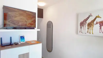 Una televisión o centro de entretenimiento en La Girafe de las Dunas Solymar