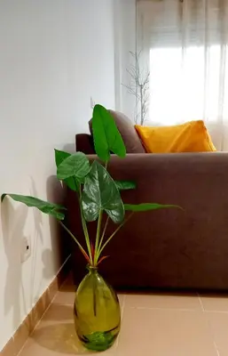 Zona de estar de GreenHouse
