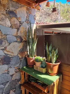 Plano de CASA PABLITO