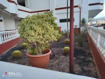 Plano de Casa Maya