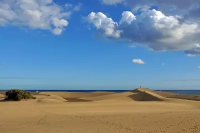 Paisaje cerca de este apartamento