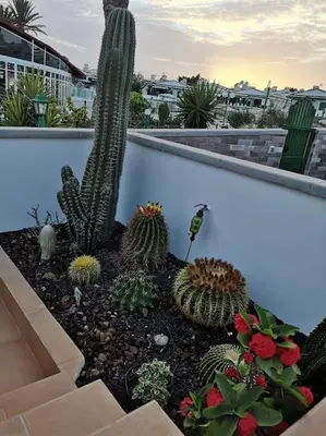 Jardín al aire libre en Appartamento Maspalomas Vista Golf con piscina