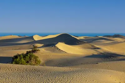 Paisaje cerca de este apartamento