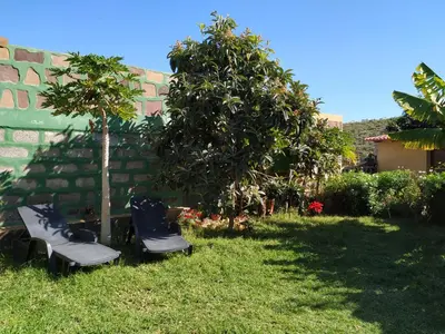 Jardín al aire libre en Villa Canaria piscina jacuzzi jardín