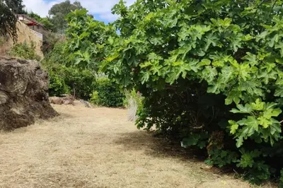 Jardín al aire libre en Casa cueva El Balcón del Cortijo