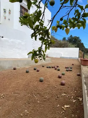 Jardín al aire libre en Casa Aya