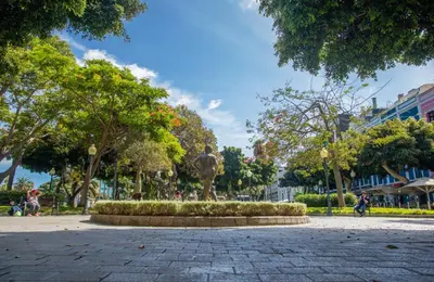 Jardín al aire libre en Mirador Santa Catalina II By CanariasGetaway