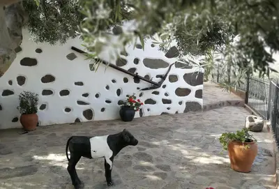 Plano de La casa vieja de la Montaña