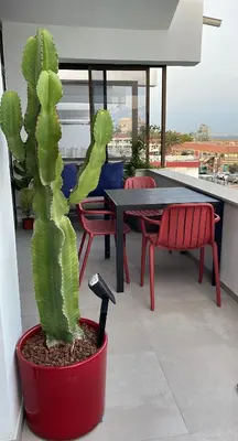 Un balcón o terraza de Ocean blue 405