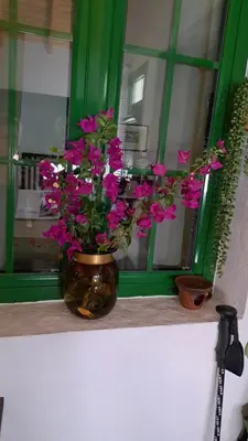 Plano de Casa Santana Segura