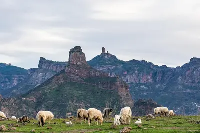 Paisaje cerca de este apartamento