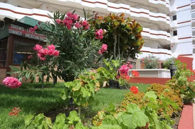 Jardín al aire libre en AGAETE PARQUE: APARTAMENTO VISTA PISCINA