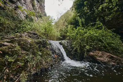 Paisaje cerca de este apartamento