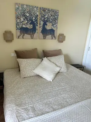 Cama o camas de una habitación en Beach apartment Patalavaca