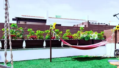 Jardín al aire libre en Bungalow La Bendita en Maspalomas