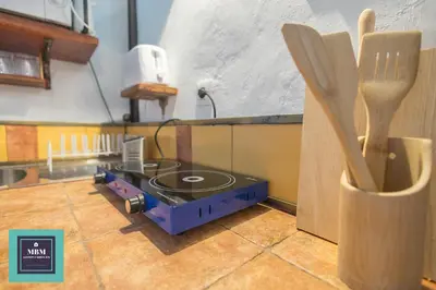 Plano de Strelitzia Estudio Agaete