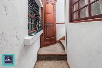 Plano de Strelitzia Estudio Agaete