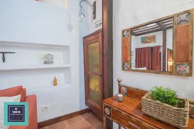 Plano de Strelitzia Estudio Agaete
