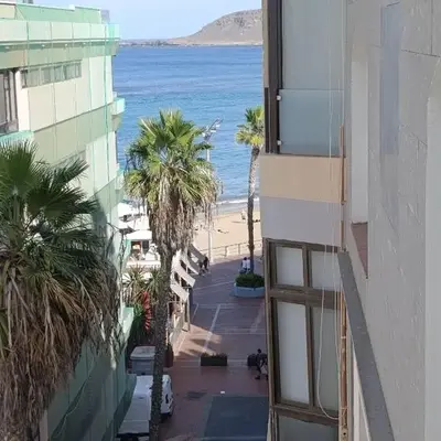 Pursuit of Ocean