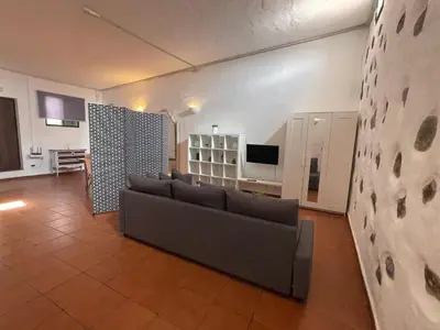 Una televisión o centro de entretenimiento en Pet friendly Home in Gran Canaria