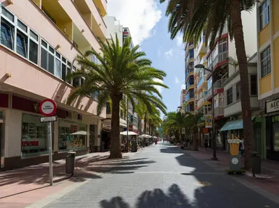 El barrio de los alrededores o un barrio cerca de este apartamento