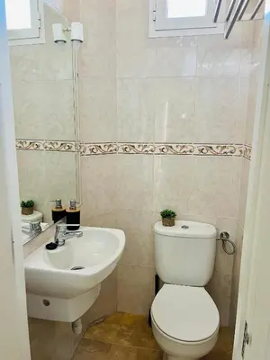 Un baño de Roque's House