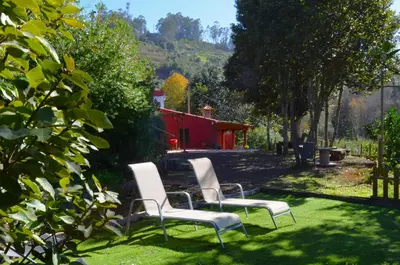 Jardín al aire libre en Sombra del Laurel