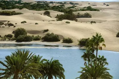 Paisaje cerca de este apartamento