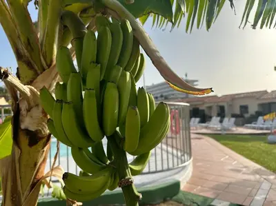 Jardín al aire libre en Bungalow Santa Fe