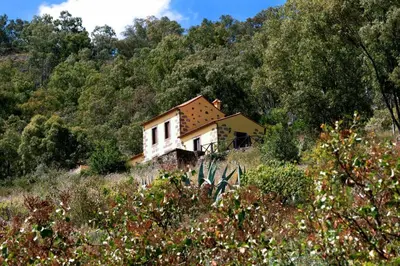 Paisaje cerca of this country house