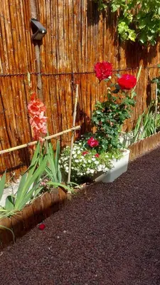 Jardín al aire libre en La casa de los naranjos
