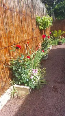 Jardín al aire libre en La casa de los naranjos