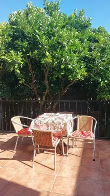 Plano de La casa de los naranjos