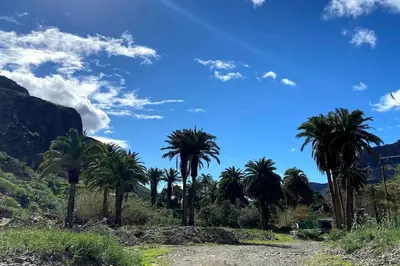 Paisaje cerca de este apartamento