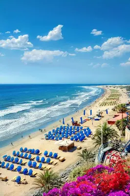 Playa de o cerca de este apartamento