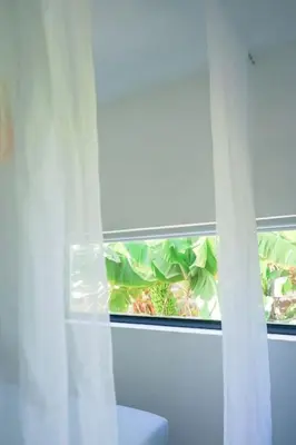 Plano de The Tortuga Banana House