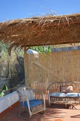 Plano de The Tortuga Banana House