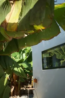 Jardín al aire libre en The Tortuga Banana House