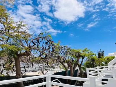 Paisaje cerca de este apartamento