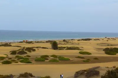 Paisaje cerca de este apartamento