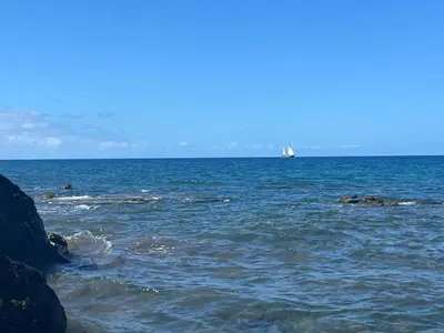Paisaje cerca de este apartamento